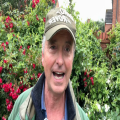 Weekly Update 11 June 2026